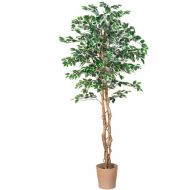 PLANTASIA Umělý strom fíkus, 190 cm