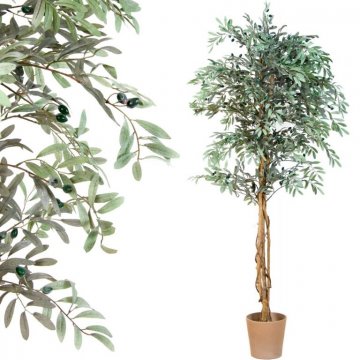 PLANTASIA Umělý strom olivovník, 180 cm