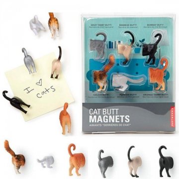 Magnety - kočičky Magnety - kočičky
