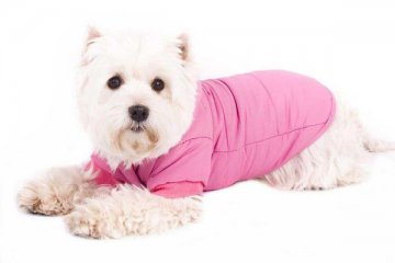 Obleček pro psa - anorak s kapucí – velikost XL růžový Obleček pro psa - anorak s kapucí – velikost XL růžový