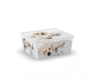 Plastový box KIS Puppy and Kitten - M Plastový box KIS Puppy and Kitten - M