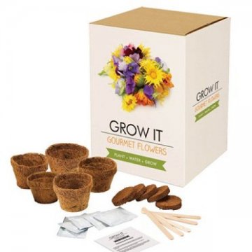 Grow it – Gurmánské květiny Grow it – Gurmánské květiny