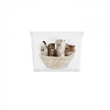 Box KIS Puppy and Kitten - CUBE Box KIS Puppy and Kitten - CUBE
