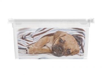 Box KIS Puppy and Kitten - XXS Box KIS Puppy and Kitten - XXS