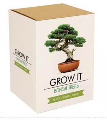 Grow it - Bonsai Grow it - Bonsai