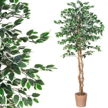 Umělá květina - fíkus - 190 cm Umělá květina - fíkus - 190 cm