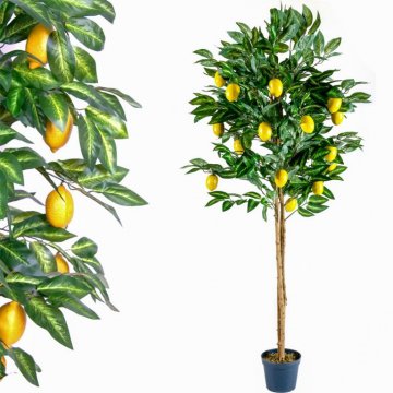 Umělá květina strom - citronovník - 184 cm Umělá květina strom - citronovník - 184 cm