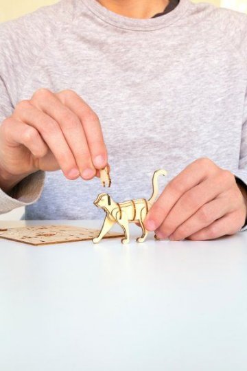Skládací dřevěná kočička Skládací dřevěná kočička