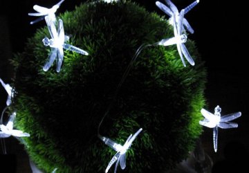 Zahradní solární dekorativní LED osvětlení - Vážky 24 LED diod Zahradní solární dekorativní LED osvětlení - Vážky 24 LED diod