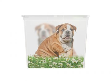 Plastový box KIS Puppy and Kitten - XL Plastový box KIS Puppy and Kitten - XL